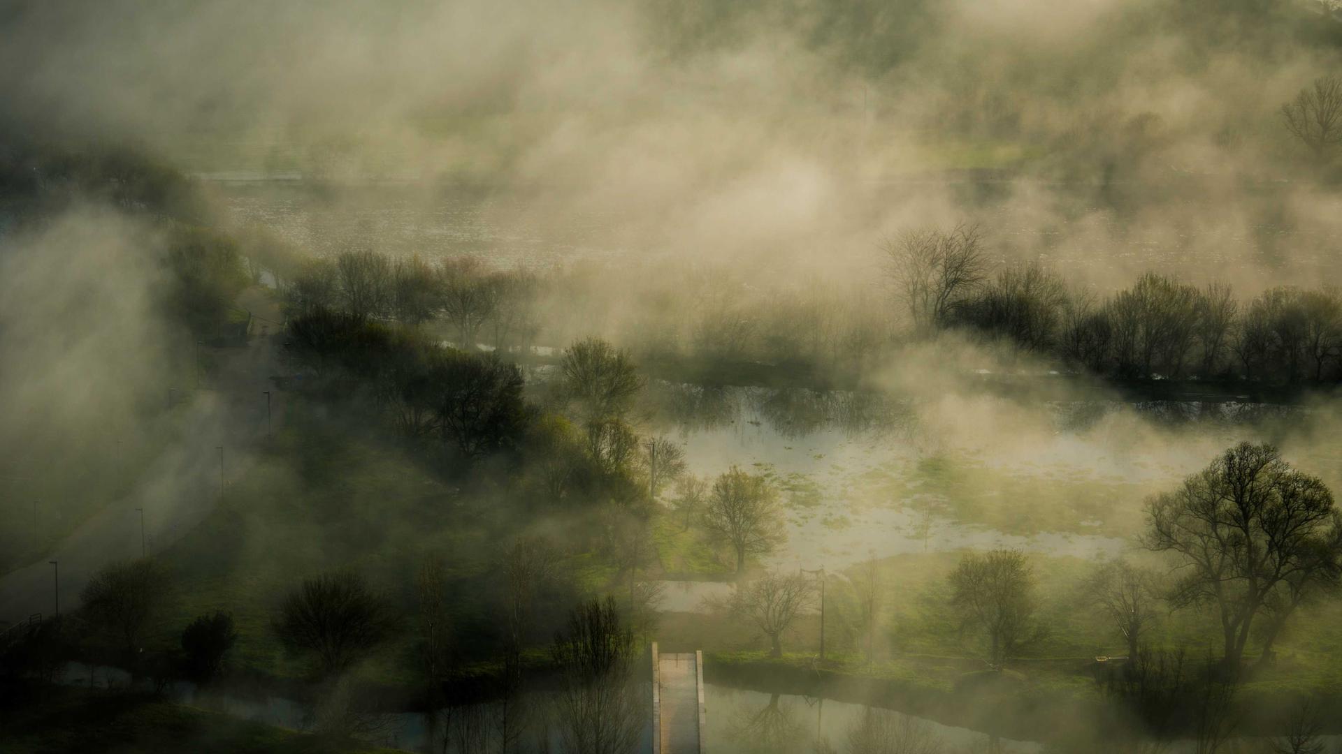 أهمية تحسين محركات البحث لنجاح أعمالك